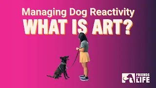 Managing Dog Reactivity - What is ART? (Part 1)