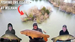 Winter Carp Fishing on The Island at Welham Lake