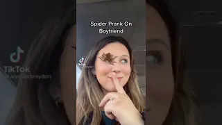 Spider filter prank compilation