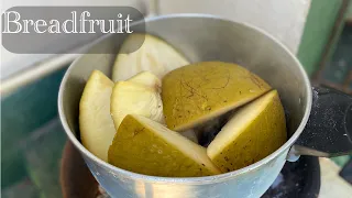 The Traditional way to Cook the PERFECT Breadfruit