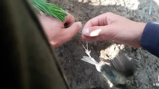 Птица запуталась в рыболовной леске. Спасение