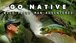 Go Native - BROOK TROUT Fly Fishing Pennsylvania Mountain Stream