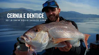 Il bello e il brutto dello slow: cernia e dentice con Swim Squid Savage Gear