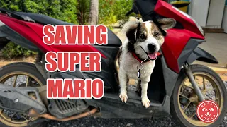 Saving Super Mario