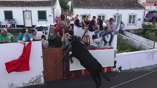 Ganadaria EG - Festas Rua Do Biscoito 2022 - Ilha Terceira - Açores - Portugal