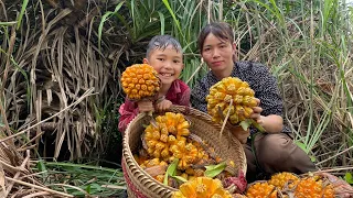 Harvest sea pineapples and sell them at the market - Earn extra money to cover your daily life-ep25