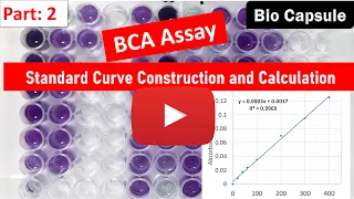 How to calculate Protein concentration using standard curve of BCA assay ? Easy steps