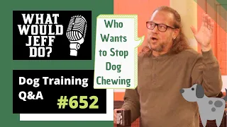 Dog Training Q&A - Stop Dog Chewing - Two Dogs in Heel - What Would Jeff Do?  Ep.652 (2020)