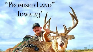 GIANT Iowa Buck | Taken During the Rut | 2023