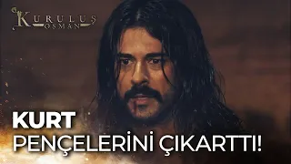 Kurt pençelerini çıkarttı! - Kuruluş Osman 7. Bölüm