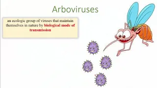 Arboviruses