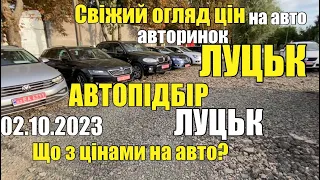 АВТОПІДБІР ЛУЦЬК | Свіжий огляд цін на авто | Автобазар ЛУЦЬК | Що з цінами на авто? #автопідбір