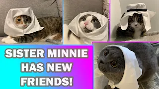 Sister Minnie Has New Friends