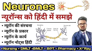 Neurone in hindi | Structure of Neurone | Sensory and Motor Neurones | Types of Neurone