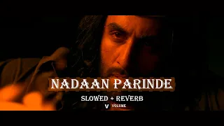NADAAN PARINDE || slowed and reverb with rain