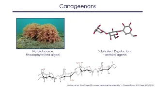 Marine antimicrobial drugs