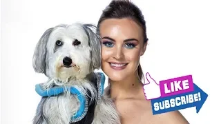 'AGT: Champions' dog act Ashleigh and Sully reflects on devastating death of Pudsey: 'We had to s...