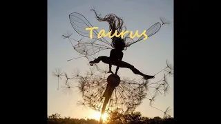 TAURUS Timeless | Saddle up! Wishes granted, and the universe is feeling VERY generous!!