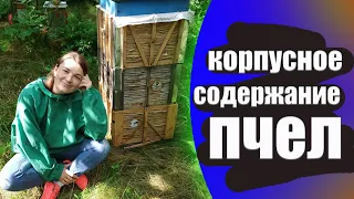 Как работать с корпусными ульями 300 рамка. двухкорпусное содержание пчел в 10 рамочных ульях