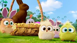 Великодній привіт від пташенят з «Angry Birds у кіно»