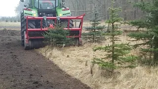 Fendt mit forstmulcher,alte Weihnachtsbaumplantage mulchen