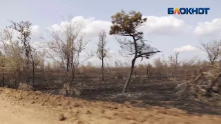 У нас здесь опасная зона, - житель горевшего поселка под Волгоградом