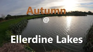 FLY FISHING AUTUMN at Ellerdine Lakes Fly Fishing Tips and great Advice for the Novice.