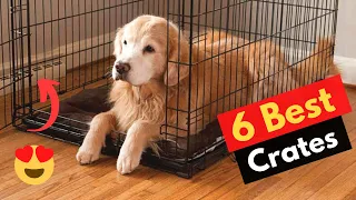 6 Best Dog Crates For Golden Retrievers In 2022