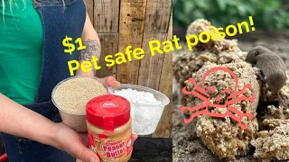 Making Pet Friendly Rat Mouse poison for cheap!