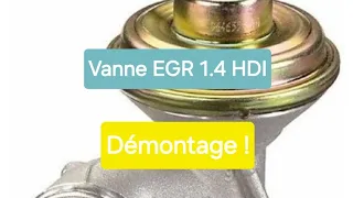 1.4 HDI démonter et nettoyer la vanne EGR 😉