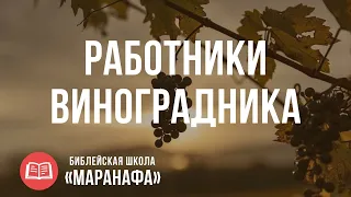 Работники в винограднике. Иисус на кресте Голгофы | Библейская Школа Маранафа