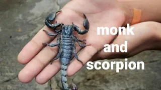 the monk and scorpion 🦂 | zen story