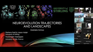 Seminar: Neuroevolution Trajectories and Landscapes