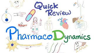 Pharmacodynamics | Quick Review | Pharmacology Lectures