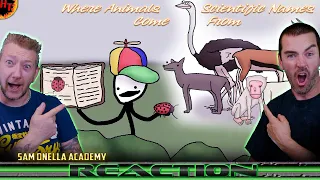 Sam Onella Academy REACTION ''Where Animals Scientific Names Come From''