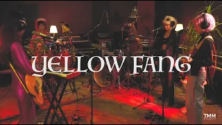 Yellow Fang | LIVE FOR TMM SESSION