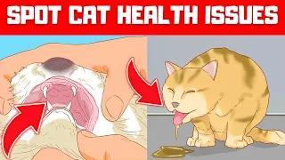 How to KNOW if your cat is SICK? The 5 Most Common Cat Health Problems