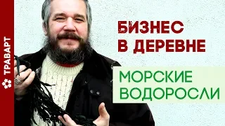 Бизнес в деревне без вложний Морские водоросли ТРАВАРТ Самодостаточность Андрей Протопопов