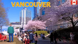 Life in Vancouver Canada - Downtown Vancouver Walking Tour on March 24 2024