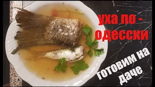 ОДЕССКАЯ УХА , готовим на ДАЧЕ