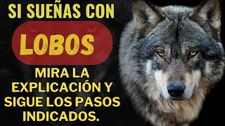 El Significado Espiritual de Soñar con Lobos #lobos |  Interpretación Espiritual de los Sueños"