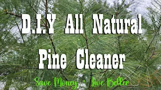 DIY All Natural Pine Cleaner ~ Save Money ~ Live Better
