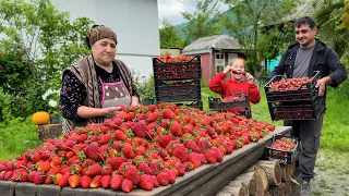 GRANDMA COOKING 50 KG STRAWBERRY! DÜRÜM AND ISLAK CAKE RECIPE! NATURAL JAM, COMPOTE AND JUICE