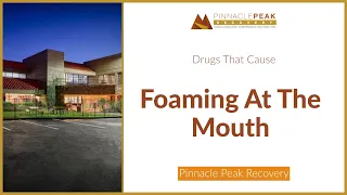 What Drug Causes Foaming At The Mouth | Pinnacle Peak Recovery | 480-750-1200