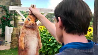 War in the Garden | Peter Rabbit | Clip