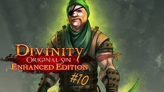 Divinity: Original Sin #10 Ein neuer Gefährte | Let's Enjoy