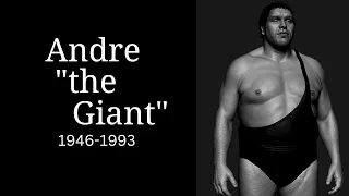 How Did Andre The Giant Die?