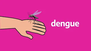 Campaña de prevención del dengue