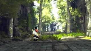 PS4 Pro New Super-Sampling Feature  The Last Guardian