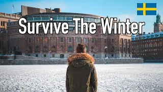 5 Things You Need To Survive The Swedish Winter